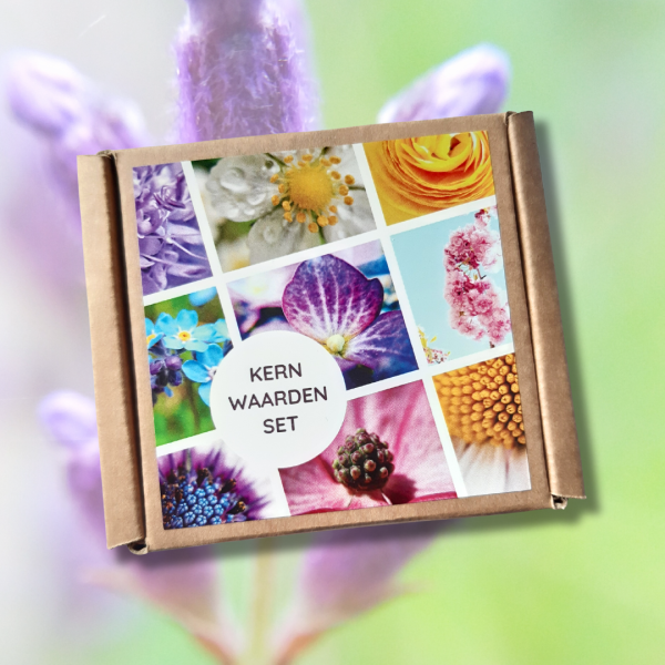Kernwaarden set - kleur - bloemen associatiekaarten - coachtool