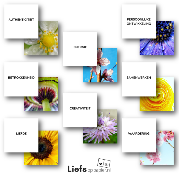 Kernwaarden set - kleur - bloemen associatiekaarten - coachtool - Afbeelding 2