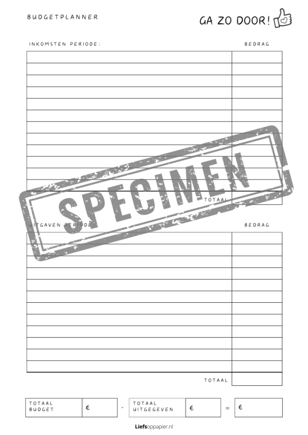Budgetplanner liefs op papier
