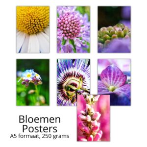 Bloemen posters Liefsoppapier